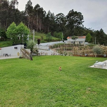 Quinta Da Tormenta -14 Pessoas- Cabeceiras De Basto 2 Casas E Piscina Privada Villa Bagian luar foto